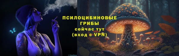 крисы Алексеевка