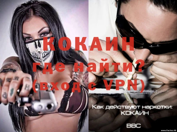 хмурый Абаза